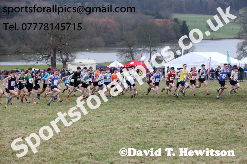 Junior men, 2018 Northern Cross Country Champs., Harewood House, Leeds. Photo: David T. Hewitson/Sports for All Pics